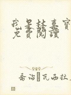 我是林喜宝小说免费阅读