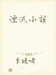 湮灭小说