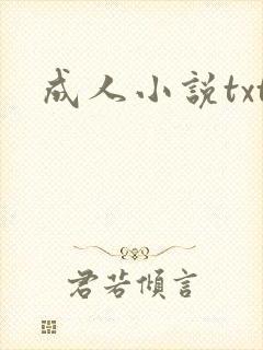 成人小说txt