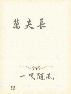 万夫长封面