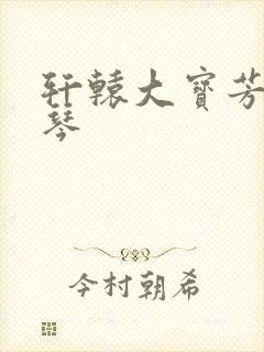 轩辕大宝芳菲雅琴