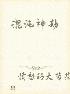 混沌神劫封面