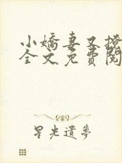 小娇妻又撩又甜全文免费阅读
