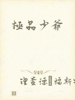 极品少爷
