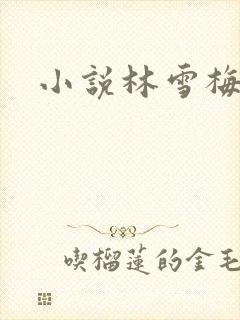 小说林雪梅