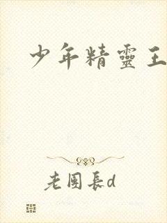 少年精灵王