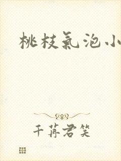 桃枝气泡小说