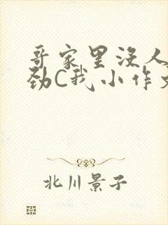 哥家里没人使点劲C我小作文封面