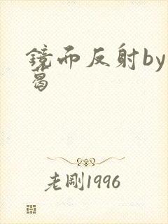镜面反射by九葛
