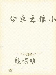 公车之狼小说封面