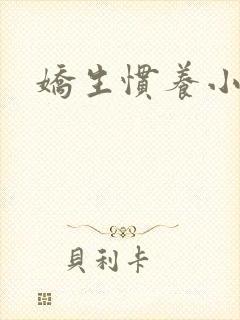 娇生惯养小说