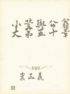 小莹与公翁熄粗大第五十章封面