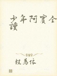 少年阿宾全集阅读