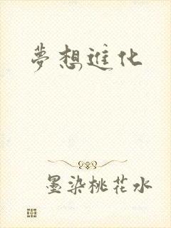 梦想进化