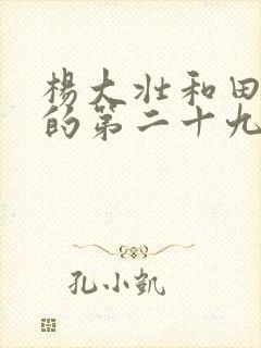 杨大壮和田桂花的第二十九