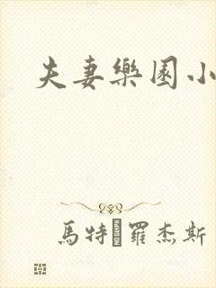 夫妻乐园小说