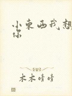 小东西我想弄坏你封面