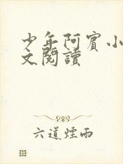 少年阿宾小说全文阅读