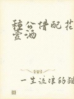 种公借配花间一壶酒封面
