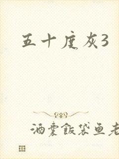 五十度灰3
