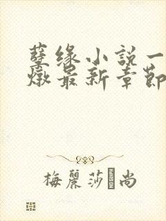 孽缘小说一家乱炖最新章节阅读