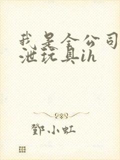 我是全公司的发泄玩具ih