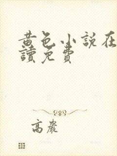 黄色小说在线阅读免费