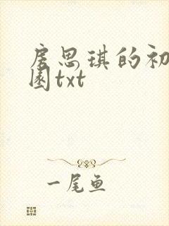 房思琪的初恋乐园txt