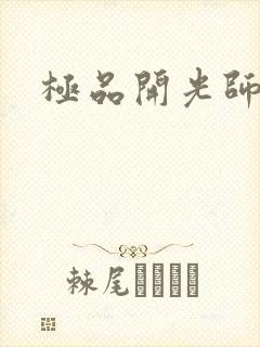 极品开光师