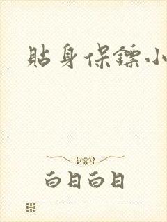 贴身保镖小说