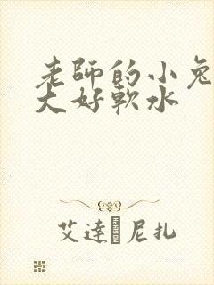 老师的小兔子好大好软水
