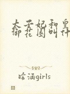 太子妃和皇帝在御花园叫什么小说