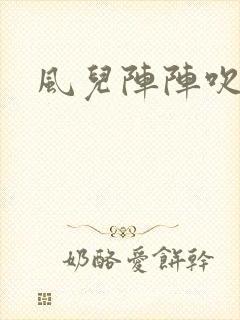 风儿阵阵吹封面