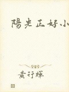 阳光正好小说