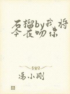 石榴by我将在今夜吻你