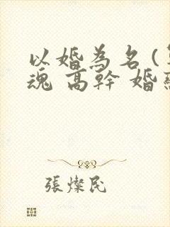 以婚为名 (军魂 高干 婚恋)