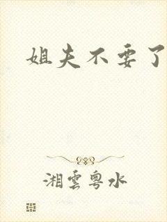 姐夫不要了封面
