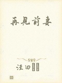 再见前妻