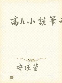 高h小说笔趣阁