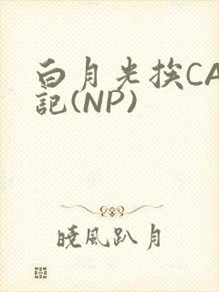 白月光挨CAO记(NP)