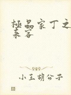 极品家丁之远方来客
