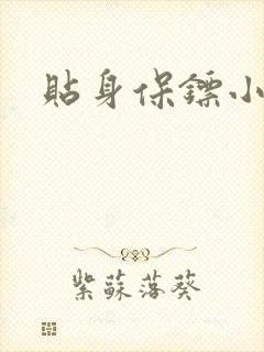 贴身保镖小说封面