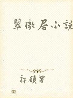 翠微居小说封面