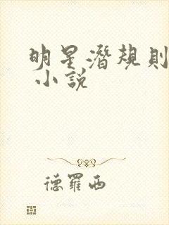 明星潜规则之皇 小说