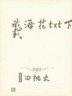 藏海花txt下载