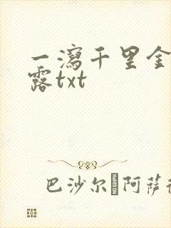 一泻千里金银花露txt