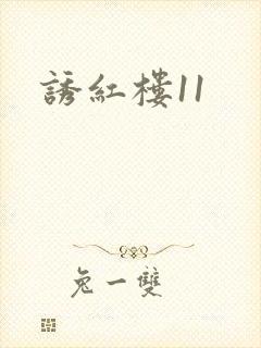 诱红楼11