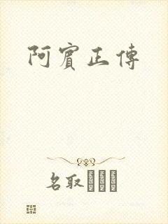 阿宾正传