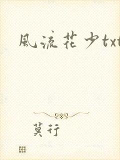 风流花少txt
