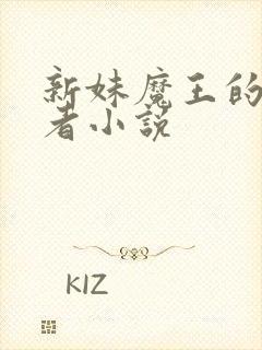 新妹魔王的契约者小说